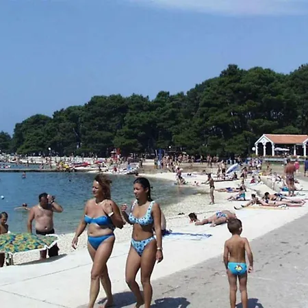 Apartman Anemona *