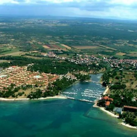 Apartman Anemona *